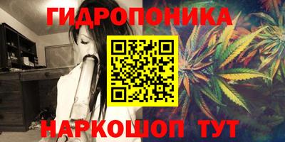 гидропоника Нягань