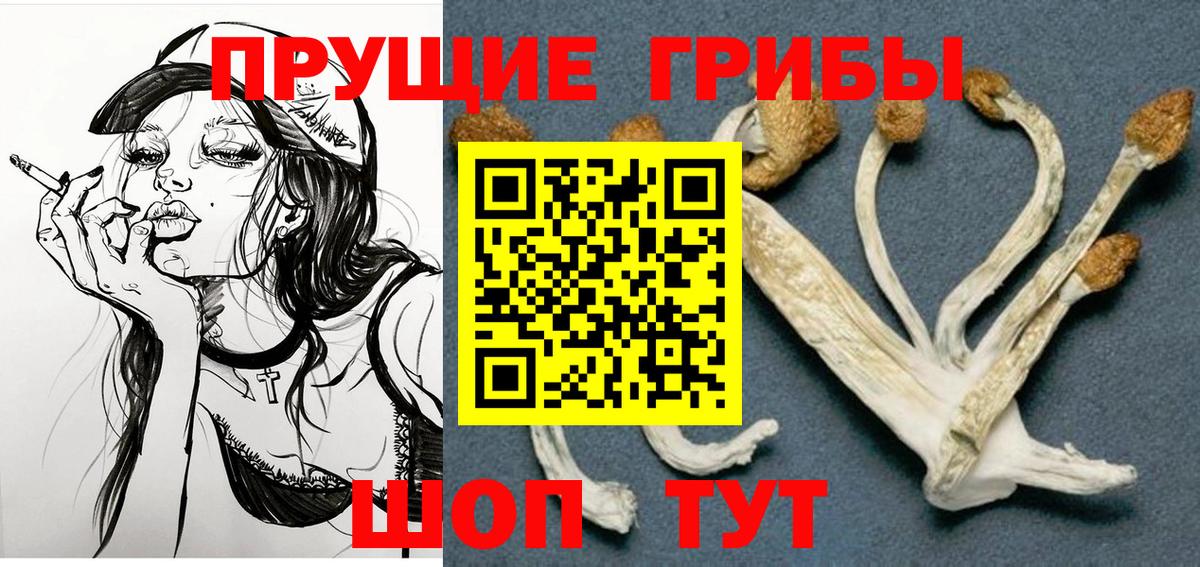 Псилоцибиновые грибы мухоморы  Псилоцибиновые грибы мицелий  Прокопьевск  закладка  Вход с VPN 